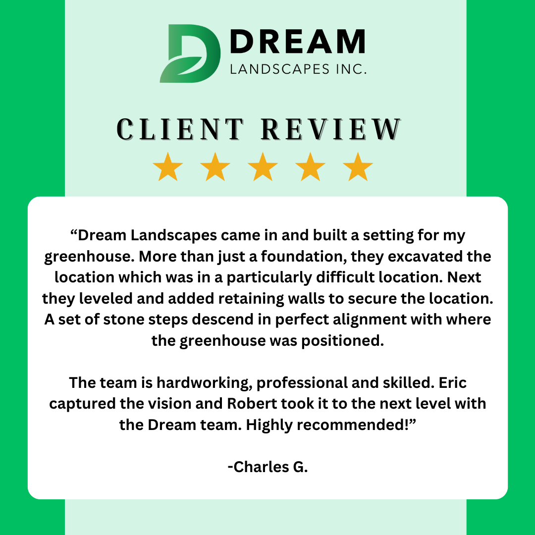 Social media client review graphic